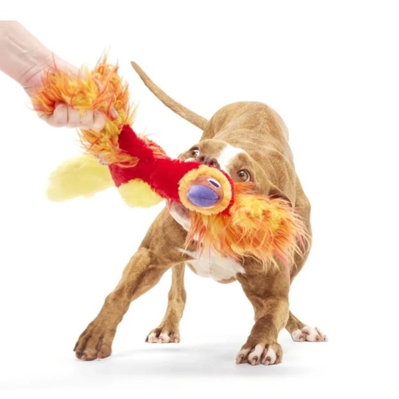 NEW BARK FAWKES FROM HARRY POTTER COLLECTION-MEDIUM/LARGE!! - Picture 3 of 9